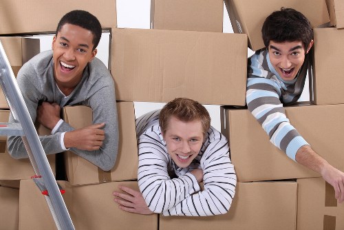 Safety-focused removal team working efficiently and responsibly